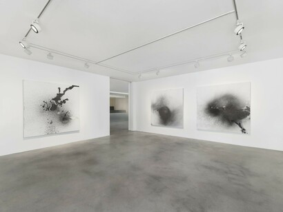 Gala Porras-Kim, Conditions for holding a natural form, exhibition view. Courtesy of Kukje Gallery