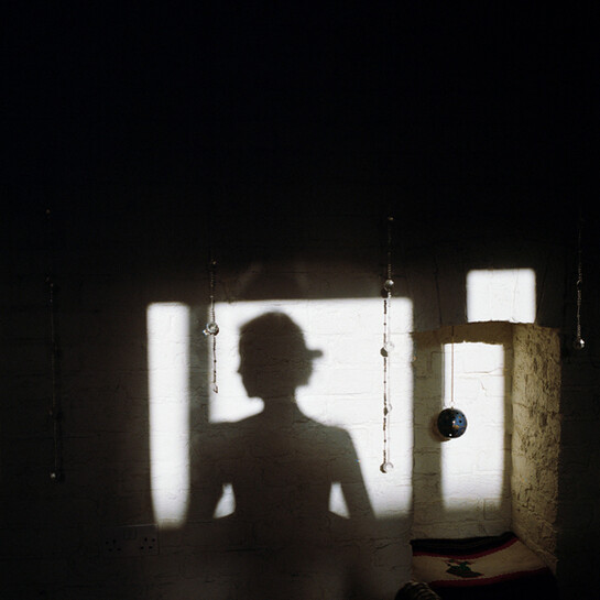 Lydia Goldblatt, Narcissus #2, 2010-2013, Chromogenic print, 20 x 20 inches, edition of 6