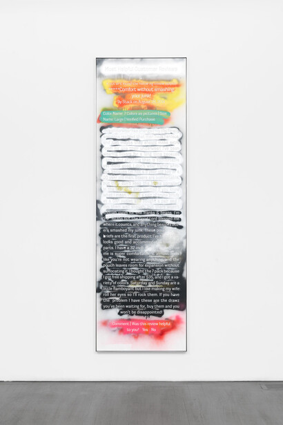 Harry Dodge, Franks and Beans (Stencil Series), 2015, Plexiglass, paint, polished, aluminum frame, 243.8 x 63.5 x 10.2 cm