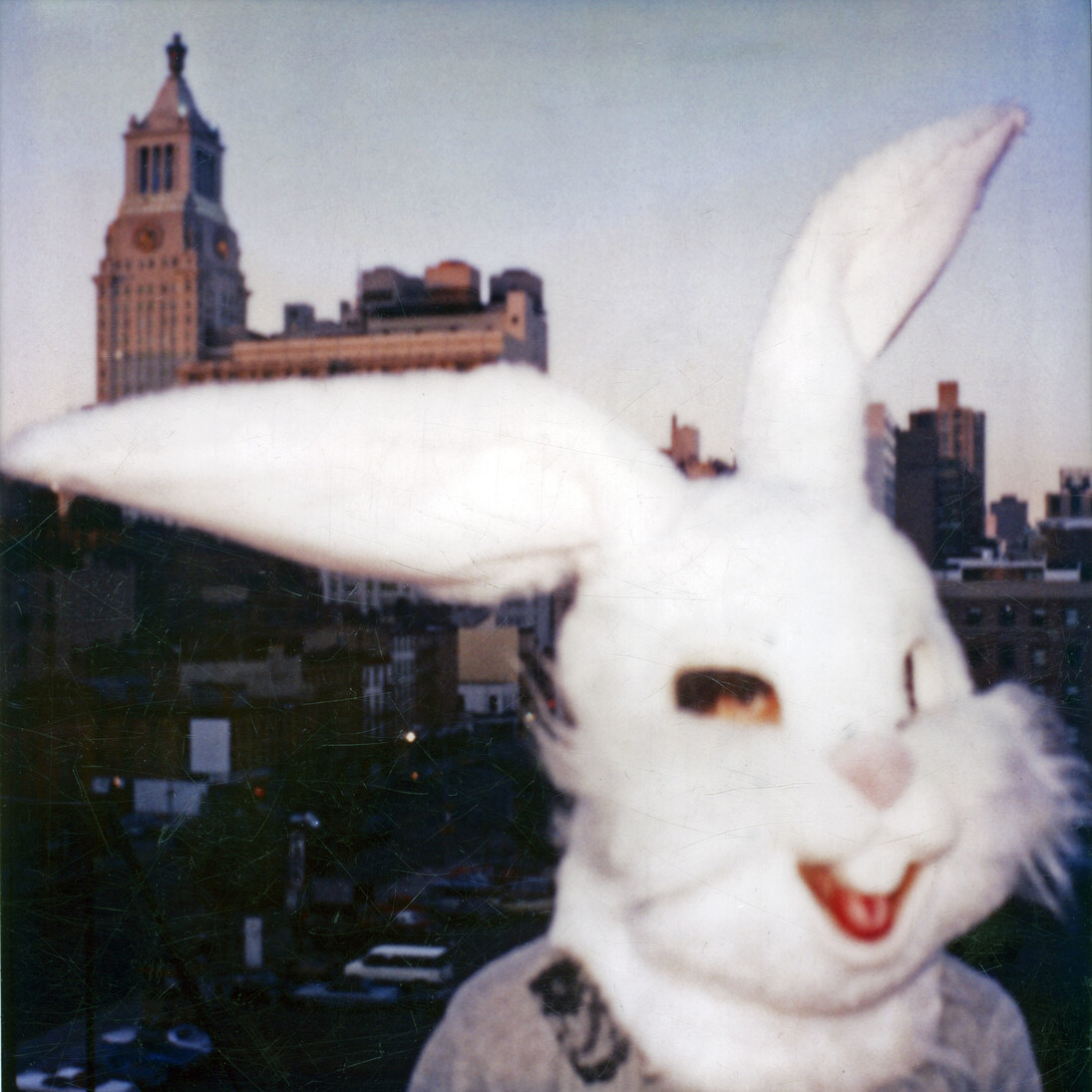 Edo Bertoglio, Bunny, New York, 1981, Archival pigment print, Edizione 1 di 5, 40 x 40 cm
