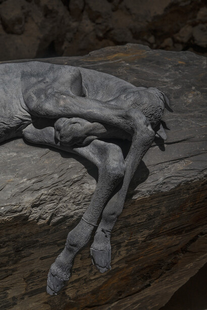 Berlinde De Bruyckere. Courtesy of Galleria Continua