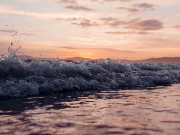 Il fenomeno contribuisce anche alla diminuzione dell’ossigeno negli oceani, danneggiando la fauna marina