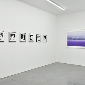 James Welling. Chronology, Exhibition view. Courtesy of Marian Goodman Gallery