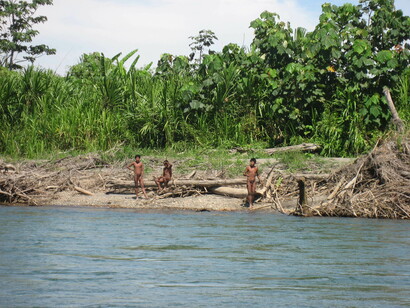 © G. Galli/Survival. Uncontacted Mashco-Piro from south-east Peru, close to the Manú National Park. 
