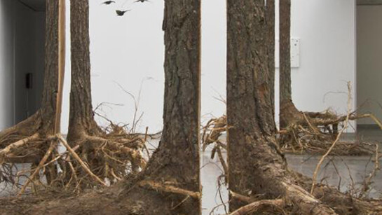 Henrik Håkansson. Courtesy of KODE