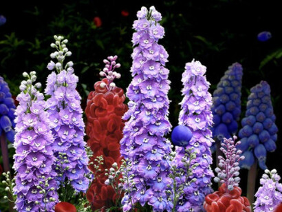 Aqua Aura. Courtesy of Luisa Catucci Gallery 