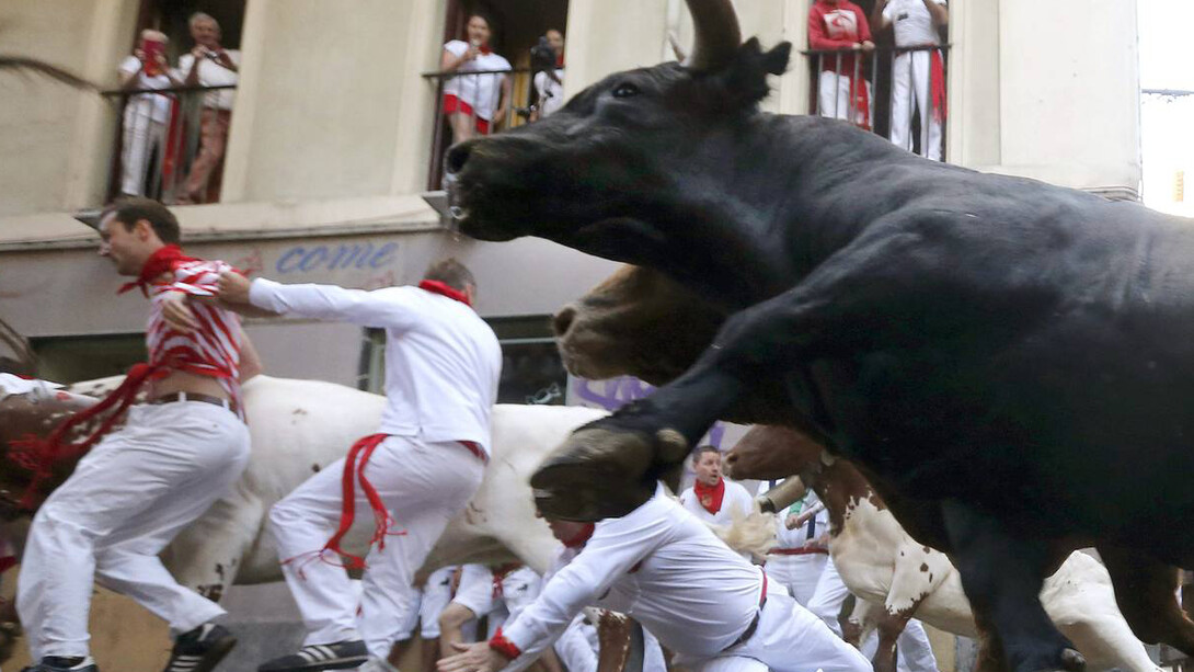 Un toro al galope por las calles del centro de Pamplona durante un encierro de San Fermín