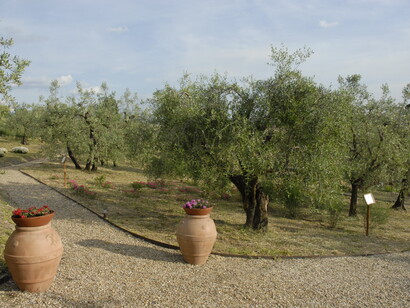 Il giardino di Santa Maria Novella