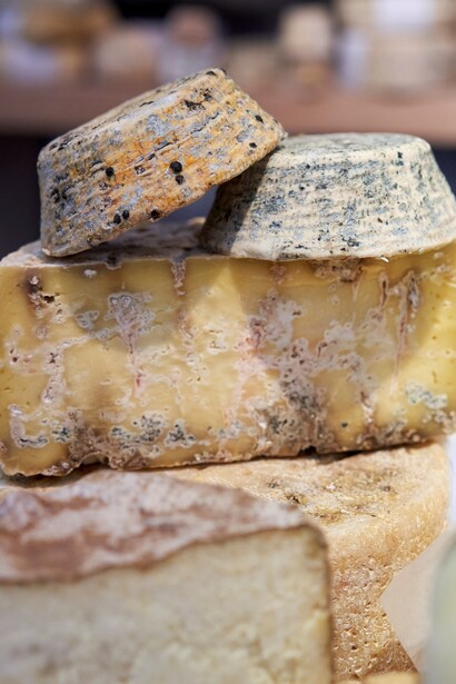 Tra degustazioni, incontri e talk, il pubblico può scoprire prodotti tradizionali e nuove tendenze del settore enogastronomico. Foto di AKAstudio-collective