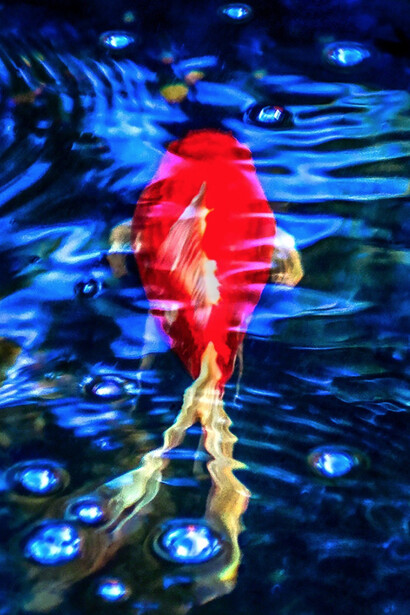 Experiments, Excavations & Explorations. Courtesy of Kate Oh Gallery