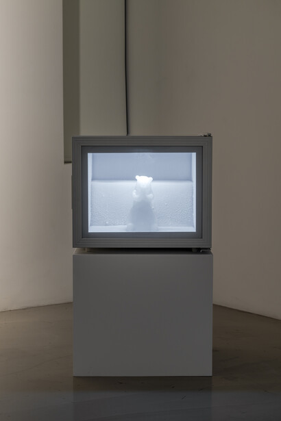 Bae Yoon Hwan, Freeze well please. Courtesy of Gallery Baton
