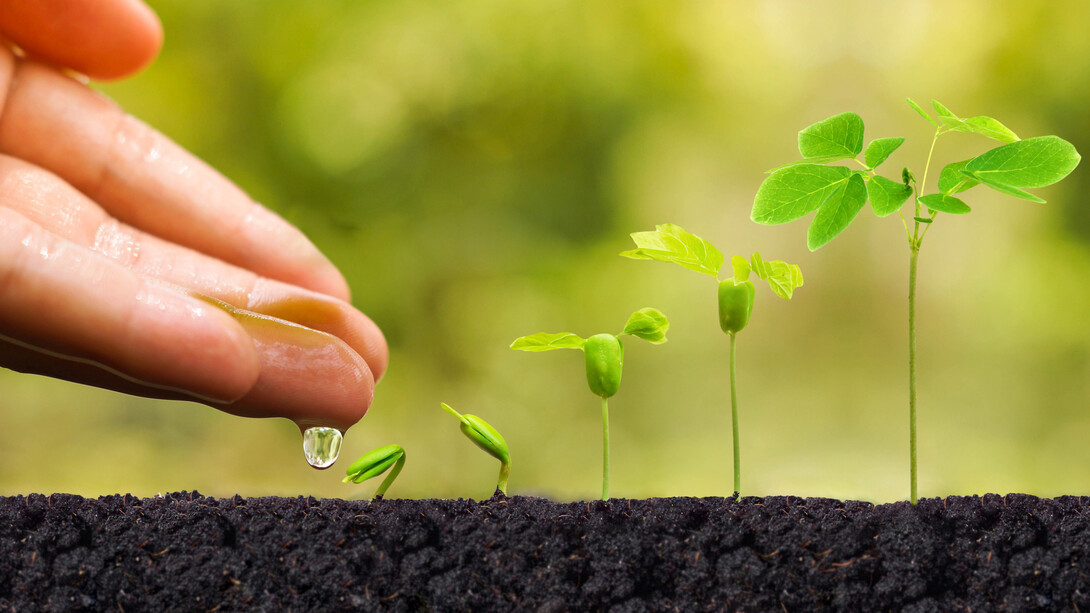 Hay mucha gente que anhela servir y entregar lo mejor de sí misma