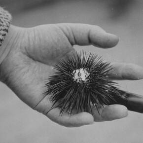 Eli Lotar. Courtesy of Jeu de Paume