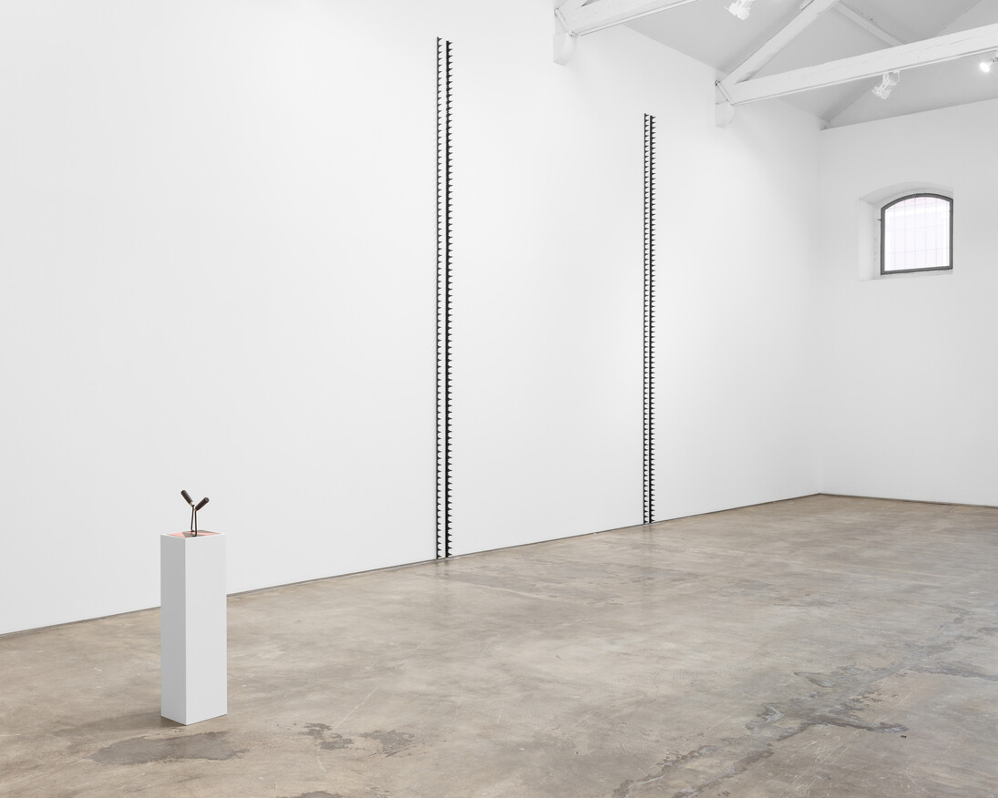 ©Bruno Lopes. Courtesy of Galeria Baginski