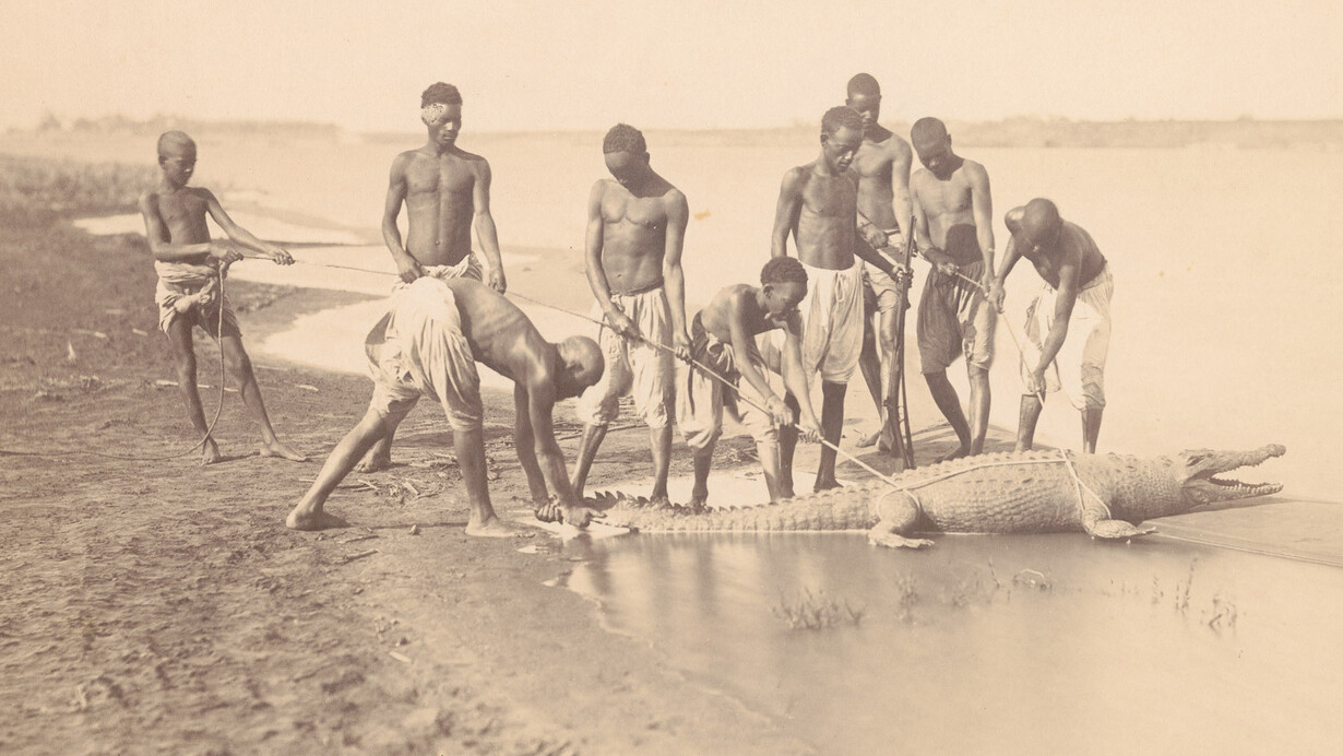 Egyptian dreamworld. Courtesy of Museum Rietberg