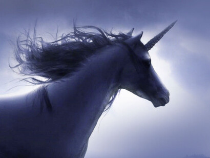 Todas las fuentes señalan como característica distintiva de esta criatura su cuerno