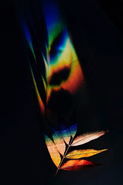 Se incontri qualcuno che ti fa luce, che diventa specchio, accoglilo perché appartiene all’inizio del percorso per conoscere se stessi