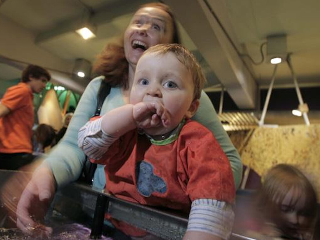 The Garden. Courtesy of Science Museum 