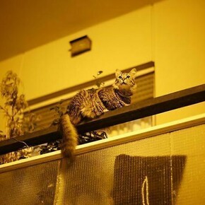 David Hartt, The Republic I, 2014, archival pigment print mounted to Dibond and framed, 59 x 88 1/2 in, 149.9 x 224.8 cm