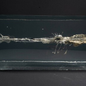 Line of sight. Courtesy of Mudac