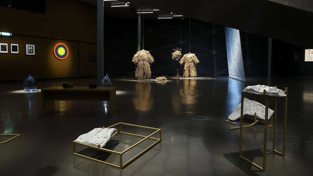 Verschiedene künstler, 30% Löwenzahn, ausstellungsansicht. Mit freundlicher genehmigung des Kunsthauses Graz