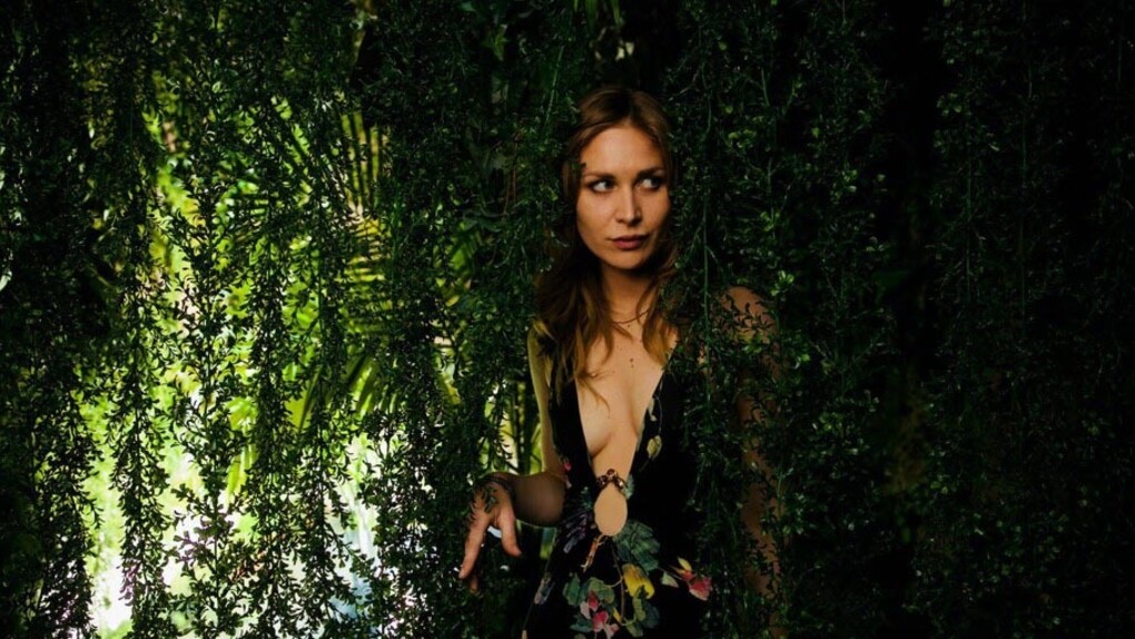 Its a Jungle Out Here. Courtesy of ABXY