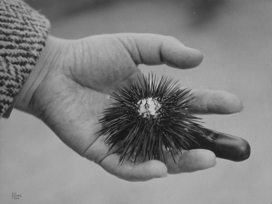 Eli Lotar. Courtesy of Jeu de Paume