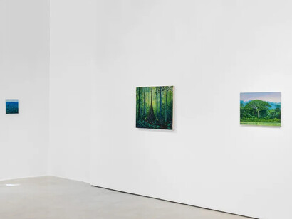 Miguel Penha Chiquitano, Água da mata, vista da exposição. Cortesia de Zipper Galeria