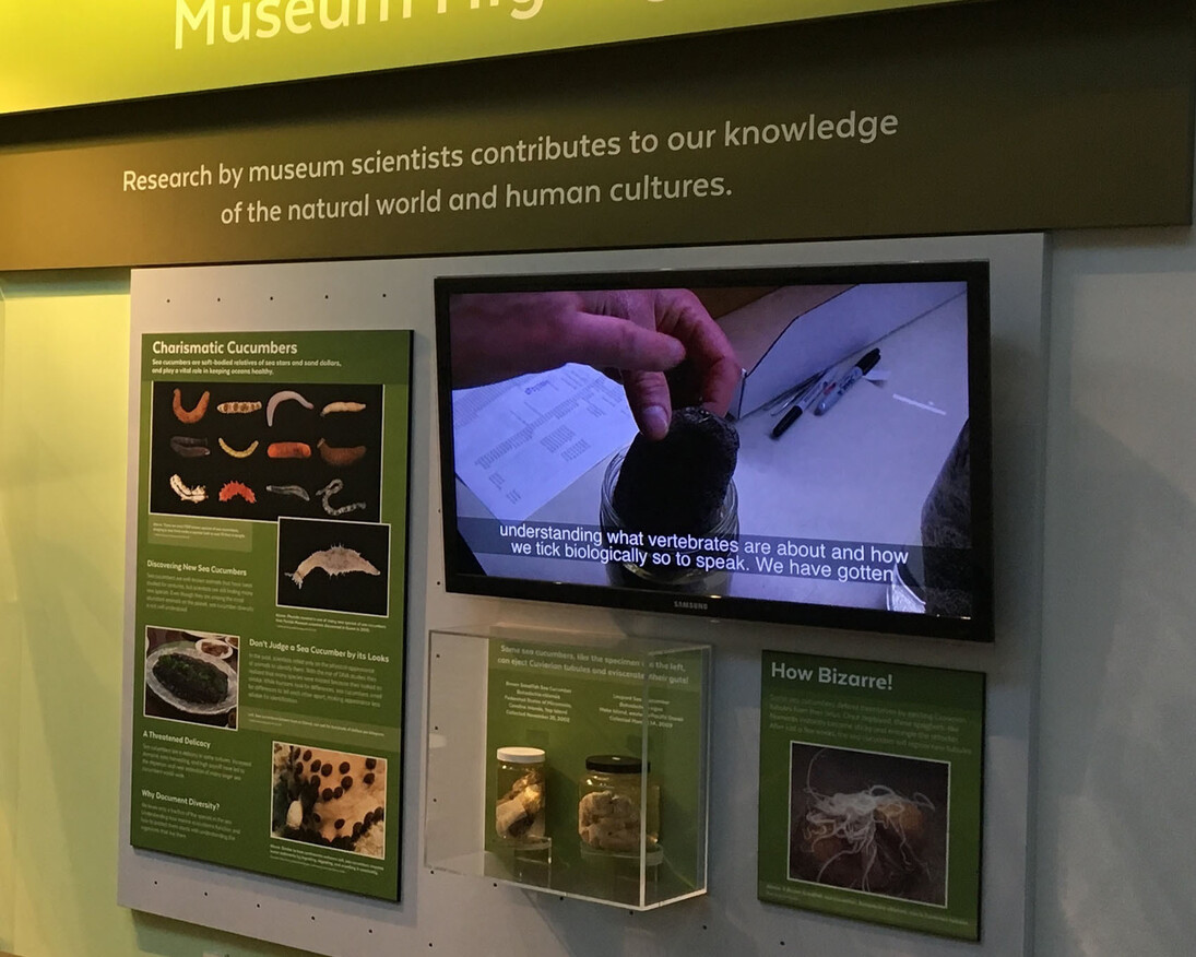 Exploring Our World. Courtesy of Florida Museum of Natural History