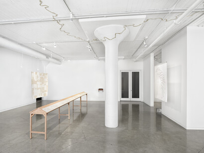 Jen Bervin, Source, installation view, photo by John Janca. Courtesy of the artist and Catharine Clark Gallery