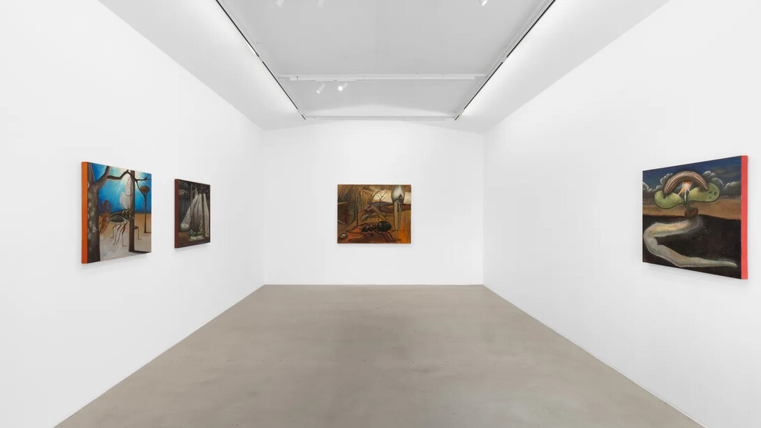 Anna Livia Taborda Monahan, Membrana, exhibition view. Courtesy of Mendes Wood DM