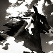 Benjamin Heller, "Cloud Horse", 2014 