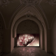 Jon Rafman, Poor Magic, Digital video, 2017

