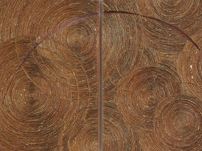 Katherine Glover, Chaco (detail). Courtesy of Duane Reed Gallery 