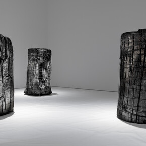 View of the exhibition “Promenade” at Perrotin New York Photo: Guillaume Ziccarelli
© Courtesy of the artist & Perrotin