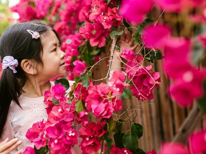 Dona Roseira já sabia que a pequena Rosa era um galho difícil de dobrar e que, se a deixasse prosseguir, seria difícil fazê-la adormecer novamente. Entretanto, nem de longe poderia imaginar que a Rosa fosse tão ousada naquela noite

