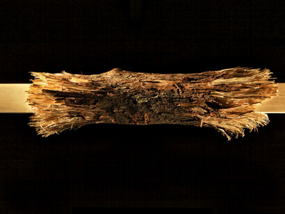 Mattia Bosco. Come cera per le api