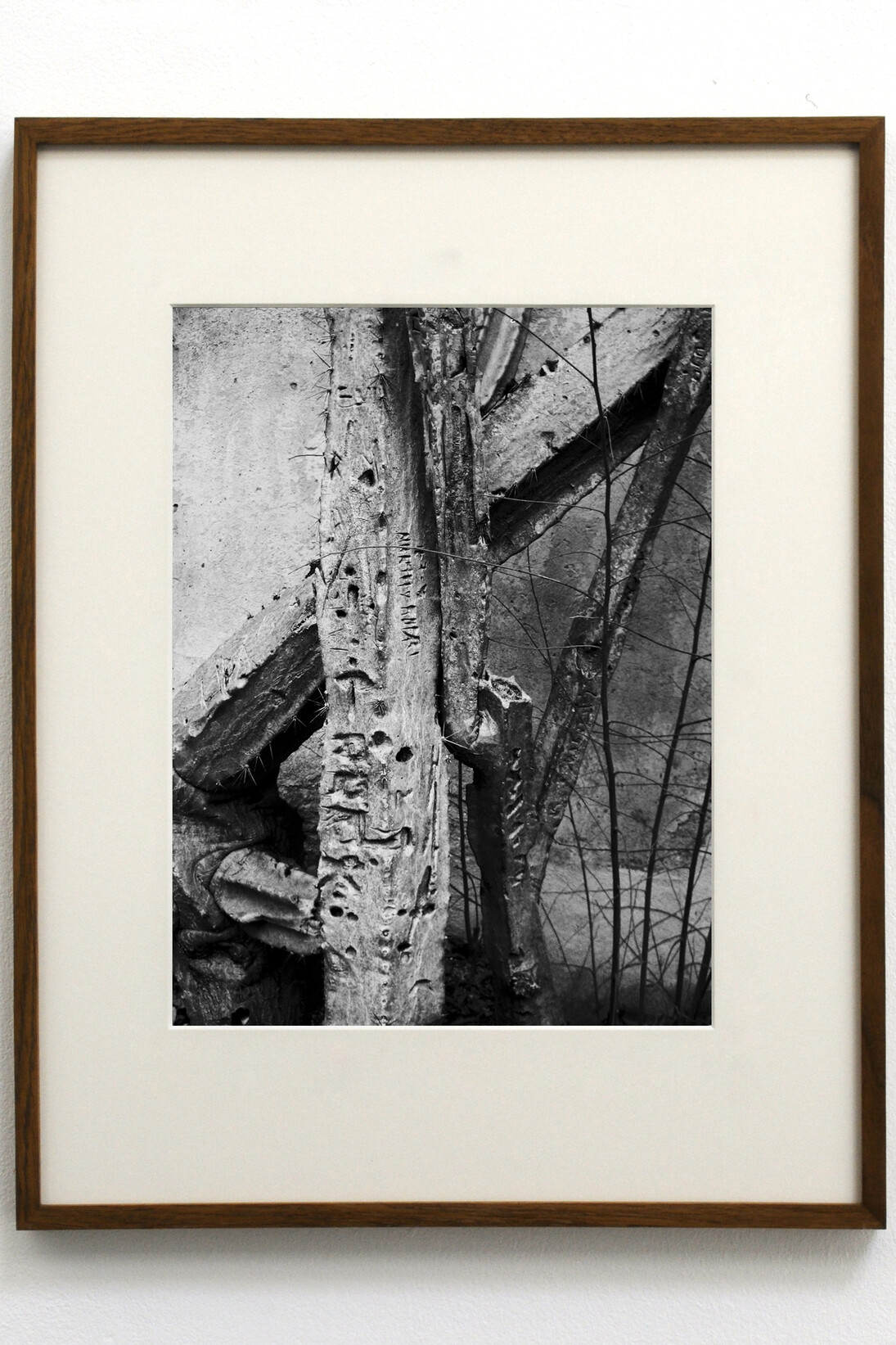 João Penalva, Martin y Ana, Silver bromide print on Ilford Warm Tone Glossy fibre paper, card, oak frame and museum glass, 57 x 46,5 cm, 2014