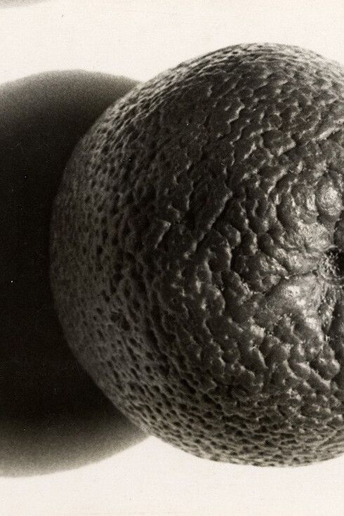 Elfriede Stegemeyer. Courtesy of Galerie Julian Sander