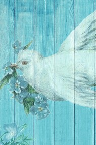 Looking in the sky expecting to see a dove with an olive leaf on her beak