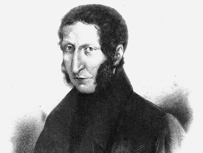 Agostino Bassi, entomólogo y botánico italiano, quien precedió a Louis Pasteur en descubrir que los microorganismos pueden causar enfermedades