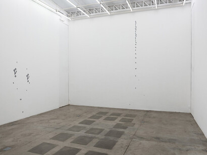 Çonoplaztía. Courtesy of Galeria Vermelho