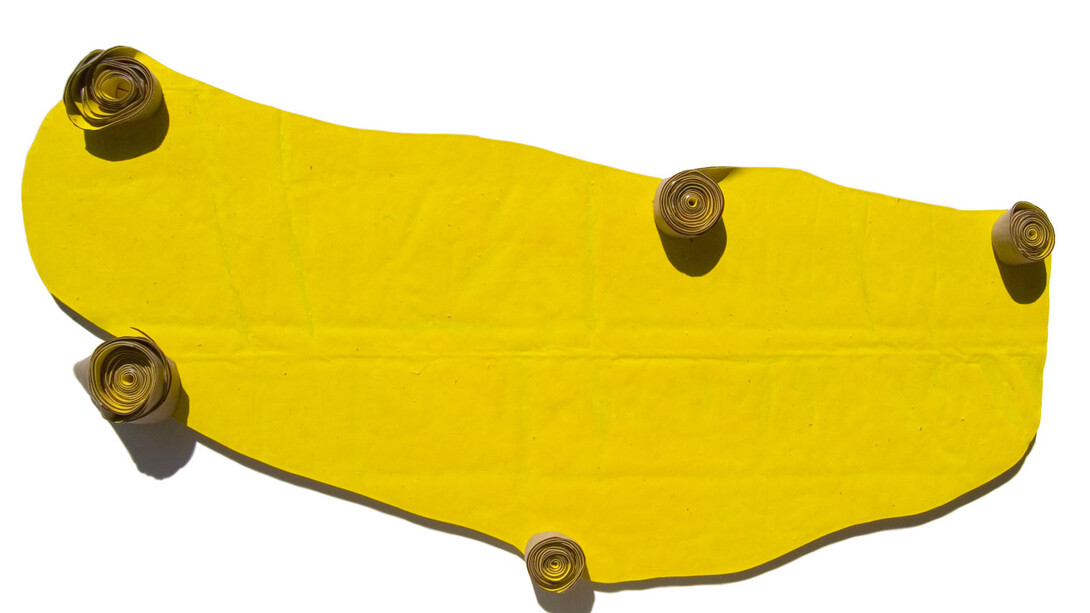 Group Show, Els cinc sentits (Xavier Escribà), 2011, acrílico sobre tela, 275x115x14 cm