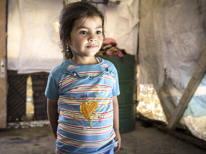 «Homo homini lupus»