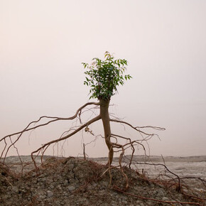 Daesung Lee, serie Ghoramara, On the shore of a vanishing island, 2013, pigment print on canson fine art 6 