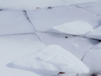 Effects of global warming