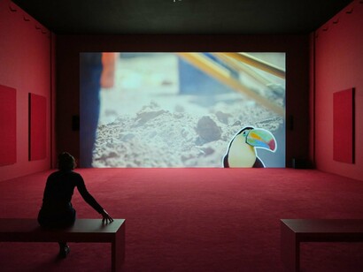 Camille Henrot, In the veins, exhibition view. Courtesy of LUMA Arles