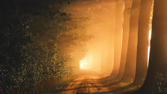 In a point of glory the stories end in wakeful light