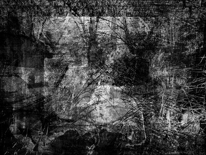  
Alain Huck
Ancholia Ancholiae, 2012
Ink jet print on Hahnemühle Photo Rag 308g
77 x 110 cm
Edition of 38