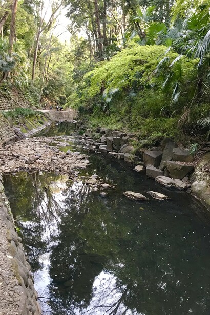 Yazawa River © Alma Reyes
